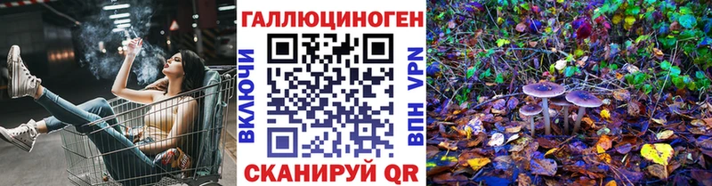 блэк спрут ТОР  Новодвинск  Псилоцибиновые грибы Psilocybine cubensis 